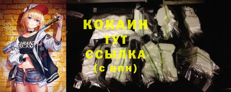 Cocaine FishScale  купить закладку  Большой Камень 